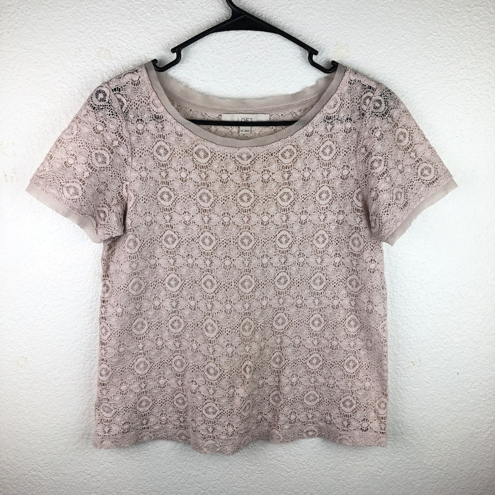 ✨Ann Taylor LOFT Cream Open Lace Top